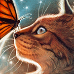 99px.ru аватар У кошки на носу сидит бабочка