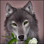 99px.ru аватар Волк держит в пасти белую розу
