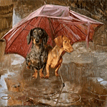 99px.ru аватар Две таксы, в сильный дождь, сидят в луже под рваным красным зонтом