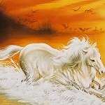 99px.ru аватар Лошадь у воды