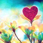 Аватар Блестящее сердечко размещенное в цветах