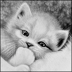 Аватар Милый котенок шевелит ушками и моргает