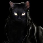 99px.ru аватар Черный кот с блестящими глазами