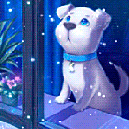 Аватар Белый песик с голубыми глазами и голубой ленточкой на шее смотрит в окно, за которым идет снег