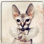 99px.ru аватар Кошечка породы сфинкс с бантом на шее