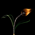 99px.ru аватар Горящая спичка в виде цветка с листьями из дыма