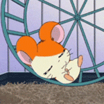 Аватар Хомячок Хамтаро / Hamtaro из одноименного аниме спит на колесе