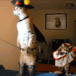 99px.ru аватар Кот стоит в костюме мушкетера со шпагой, а рядом другой кот играет на гитаре