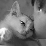 Аватар Девочка целует маленького котенка