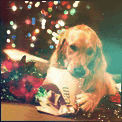 99px.ru аватар Собака возле елочных украшений в рождественскую ночь