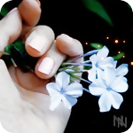 99px.ru аватар Нежные весенние цветы в руке у девушки