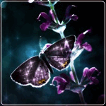 99px.ru аватар Красивая бабочка на стебельке