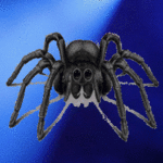 99px.ru аватар Черный паук с красными, моргающими глазами