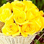 99px.ru аватар Корзина желтых роз