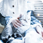 Аватар Кот на коленях у девушки