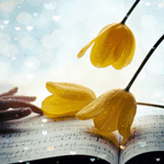 Аватар Желтые тюльпаны на нотной книге