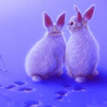 99px.ru аватар Кролики сидящие на снегу