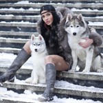 99px.ru аватар Девушка в меховом полушубке сидит на заснеженных ступенях и обнимает двух собак