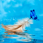 99px.ru аватар На перышке плавающем в воде сидит голубая бабочка