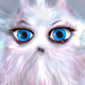 99px.ru аватар Белый пушистый чудик с голубыми глазами