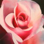 99px.ru аватар Розовая нарисованная роза