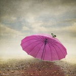 99px.ru аватар Розовый зонтик стоит на земле среди желтых листьев, на зонтике сидит бабочка