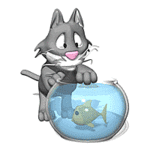 99px.ru аватар Серый кот пытается достать рыбку из аквариума
