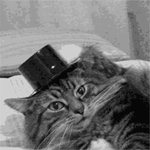 99px.ru аватар Кошка снимает шляпу