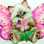 99px.ru аватар Кошечка с крыльями держит в лапках цветок на котором сидит бабочка