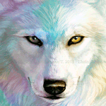 99px.ru аватар Морда белого волка