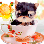 99px.ru аватар Собака сидящая в кружке с блюдцем