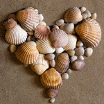 Аватар Ракушки на песке, выложенные в виде сердца