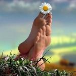 99px.ru аватар Ромашка на пальчике ног, фотохудожник Igor Zenin