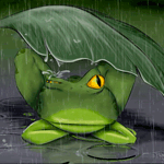 99px.ru аватар Лягушка дергая одним глазом сидит под листочком укрывшись от дождя
