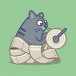 Аватар Кошка играет с рулоном туалетной бумаги