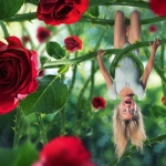 Аватар Радостная девочка висит вверх ногами на стебле роз, ву John Wilhelm is a photoholic