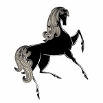 Аватар Черный конь на белом фоне