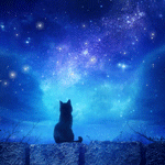 99px.ru аватар Одинокий котик смотрящий на ночное небо