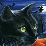 99px.ru аватар Кот с зелеными глазами, вдали видна ведьма на метле, на фоне луны
