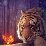 99px.ru аватар Тигр смотрит на огненную бабочку
