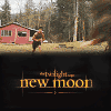 Аватар Сумерки сага. Новолуние / The Twilight Saga: New Moon, 2009