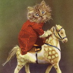 99px.ru аватар Котенок на коне