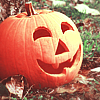 99px.ru аватар Тыква для праздника Хэллоуин / Helloween лежит на земле