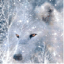 99px.ru аватар Белый волк среди заснеженных веток деревьев, под падающим снегом
