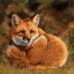 99px.ru аватар Лиса лежит и смотрит вперед
