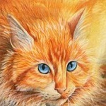 Аватар Рыжий голубоглазый котенок