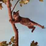 99px.ru аватар Кошка пытается удержаться передними лапами за ствол дерева, под порывами сильного ветра