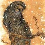 99px.ru аватар Сова на ветке под снегом, by ThePyf
