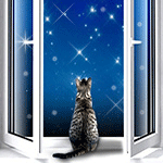 99px.ru аватар Кот сидит на подоконнике и смотрит на звезды