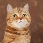 Аватар Портрет рыжего кота